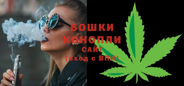 таблы Богородицк