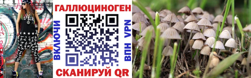 MEGA маркетплейс  Ковдор  Галлюциногенные грибы Magic Shrooms 