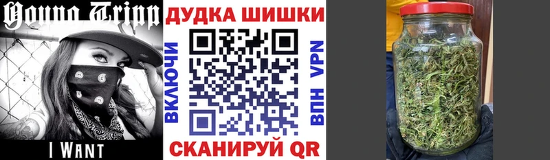Шишки марихуана OG Kush  Ковдор 